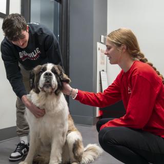 Two students pet one of the school mascots, a Saint Bernard named Maggie.